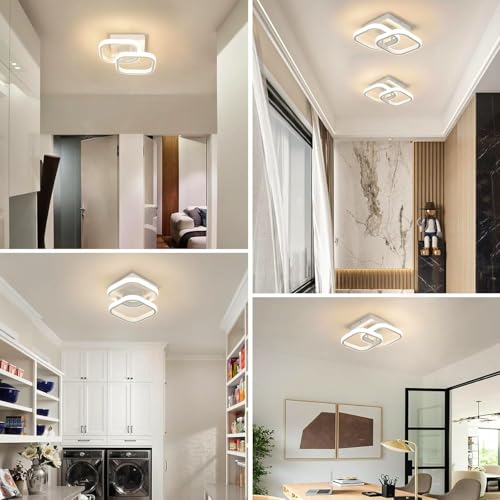 Image of Groeien 22W | 3 Color Modern LED Twin Loop Ceiling Lamp for Entrance Hallway Office Bedroom Kitchen Living Room Ceiling Light Lighting Fixtures(Warm+Natural+Coolwhite)(Twin Loop, 1, Count)