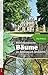 Bemerkenswerte Bäume: im Schlosspark Altdöbern (Lausitz vom Feinsten)