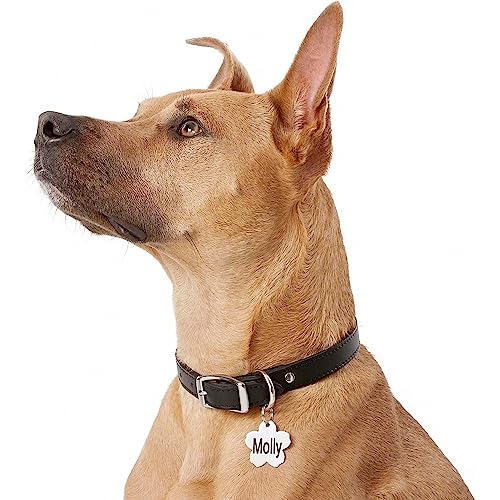 Gotags Stainless Steel Pet Id Tags, Personalized Dog Tags And Cat Tags, Up To 8 Lines Of Custom Text, Engraved On Both Sides, In Bone, Round, Heart, Bow Tie And More #TOP3