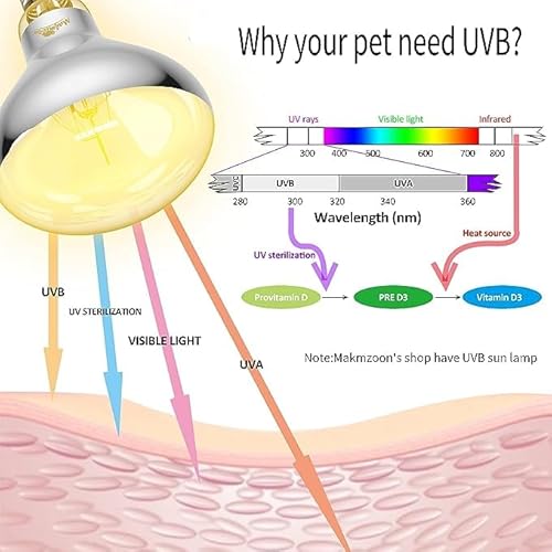 UV-Testkarte für Krabbeltiere, Wiederverwendbar, Schnelltest, UVB-Sensorkarte, UVB-Kartenanzeige, Heizlampe, Photochrome UVB-Kartenanzeige für Reptilien-UV-Test