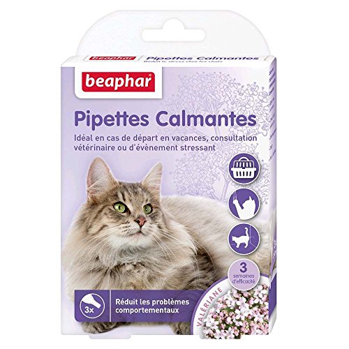 BEAPHAR – NO STRESS – Pipettes calmantes à la Valériane pour chat – Réduit le stress et les problèmes comportementaux sans dépendance ni somnolence – Prêt à l'emploi – 3 semaines d'action – 3 pipettes