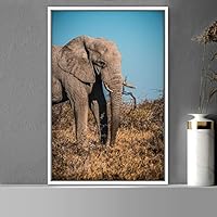 Framed Canvas Wall Art Elephants Animals Dramatic Elephants Farmhouse/Country Living Room Multicolor Photography - 16x24 inches