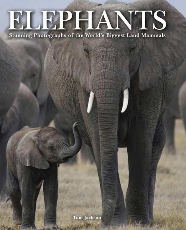 Elephants: Stunning Photographs of the World's Biggest Land Mammals