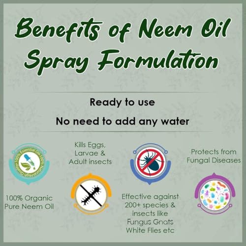 Image of Garden Genie Ready to Use Neem Oil Spray for Plants Home Garden, 250ml | Organic Insecticide for Plants I Insect Killer Spray - Removes Mealy Bug, Fungus, Aphids Etc from Home Garden