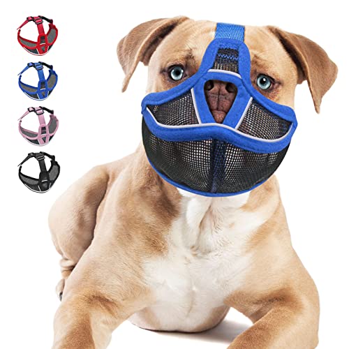 Top 10 Best Muzzles For Shih Tzu Reviews & Buying Guide Katynel