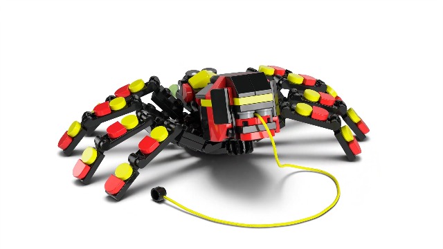 Amazon.com: LEGO Creator 3 in 1 Wild Animals Surprising