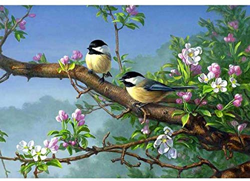 Bimkole 5D Diamond Painting DIY Kits Petit Oiseau, Herbe à Fleurs Broderie Diamant Kits De Broderie Au Point De Croix Strass Rond Résine Peinture Décor à La Maison, (30x40 cm) thumbnail
