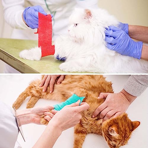 Disnace 12 Rolls Vet Wrap, 7.5cm x 4.5m Non-Woven Cohesive Bandages Breathable Stretchable, Assorted Colors Self-Adhesive Wrap Sticky Elastic Tape for Pets Human Wrist, Ankle Sprains, Swelling - Image 4