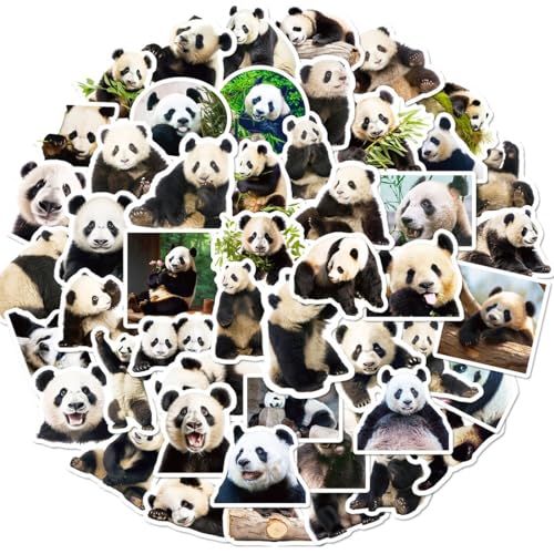 Set de Pegatinas, 50Pcs Pegatinas Niños, Pegatinas Impermeables, calcomanías divertidas para panda, calcomanías de vinilo impermeables para amantes de los panda (forma de panda)