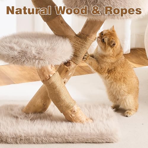 Árbol para Gatos de Madera Natural con Rascador 37.8 Pulgadas miniatura 5