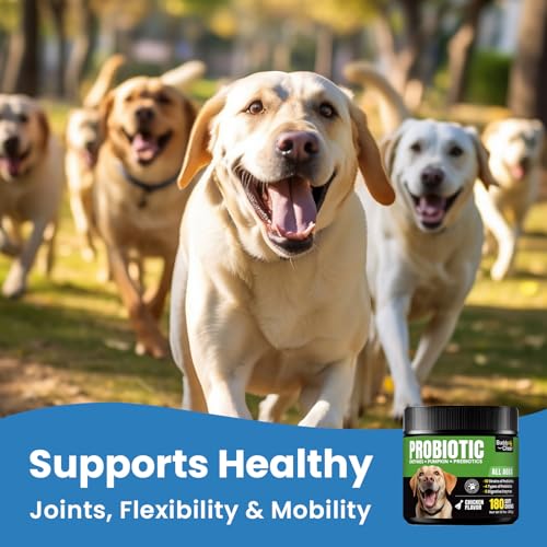 Multi-Strain Dog Probiotic Chews – Relieves Itching, Gas, Loose Stool & Boosts Immune Health