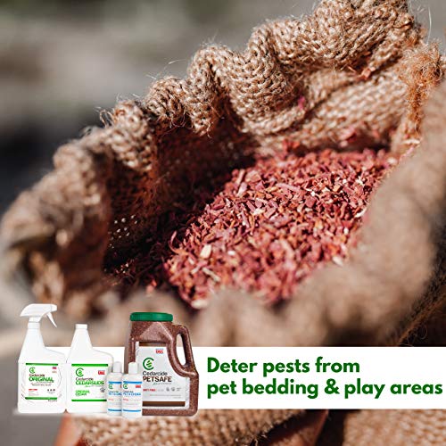 Cedarcide Flea & Tick Pet Pack (Medium) | Cedarcide Original + CedarSuds Pet Shampoo + Vets Choice Flea & Tick Dip… - Image 5