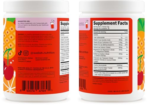 Image of Wellah Creatine + Electrolytes Powder (Fruit Punch) 30 Servings - Hydration Drink Mix with 3g of Creatine Monohydrate