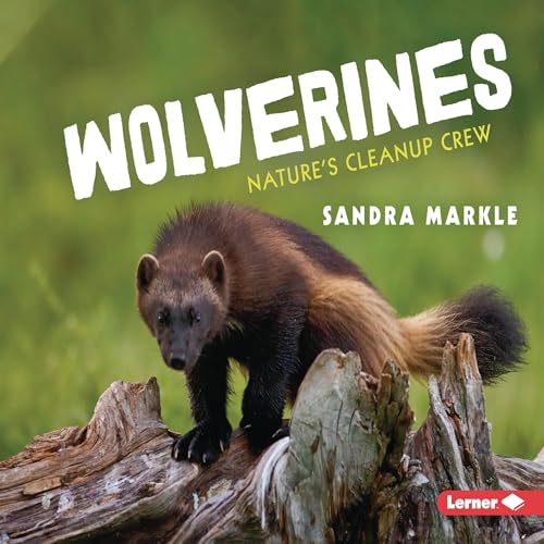 Discover Your Day With A Riveting Full Audiobook.