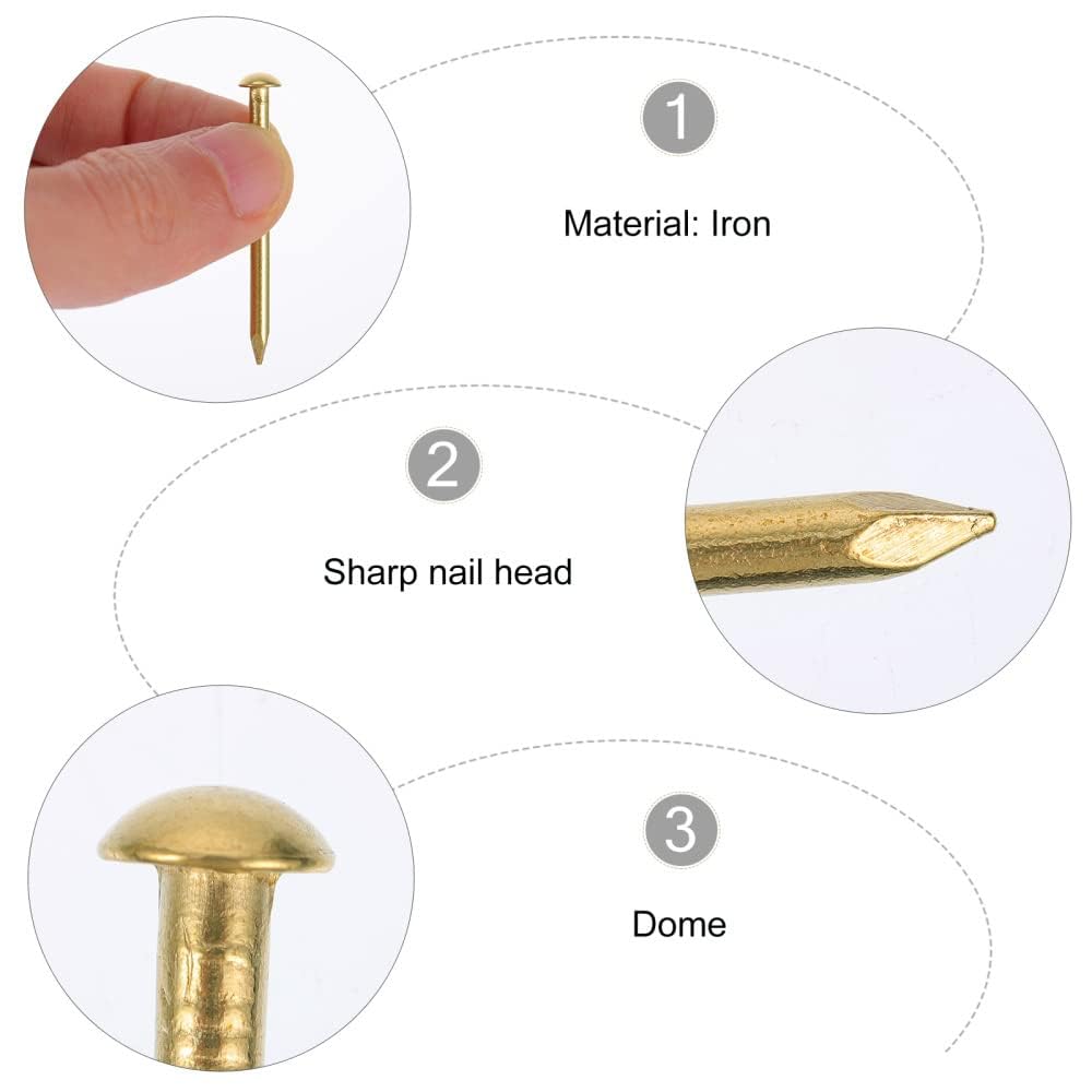 Kleine Nägel 150g (ca. 600 Stück) Rundkopfstifte Nägel 20mm Gold Vermessingte Nägel Mininägel Holznägel Nicht Leicht Verbiegen Brechen für DIY Hardware Scharnier Zubehör Befestigungen