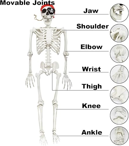 Miniatura 6 de Decoración de esqueleto de tamaño real de 5.4 pies, esqueletos piratas humanos posables, esqueleto de tamaño completo con articulaciones posables,