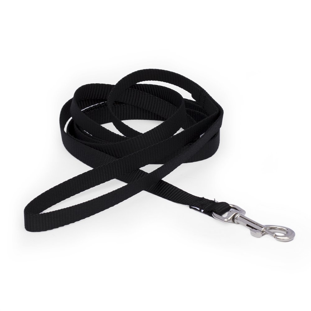 Pet Champion Basic 4' Leash, Black