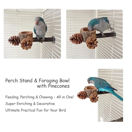 Bird Perch with Feeder for Cage & Chew Toys Pinecones - Bird Cage Accessories 100% Natural & Durable for Cockatiel, Conure, Budgie, Lovebird, Parakeet - Parrot Food Treats Bowl for Foraging - Image 6