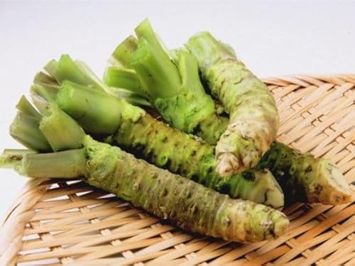 60pcs New Fresh Horseradish Vegetable Seeds
