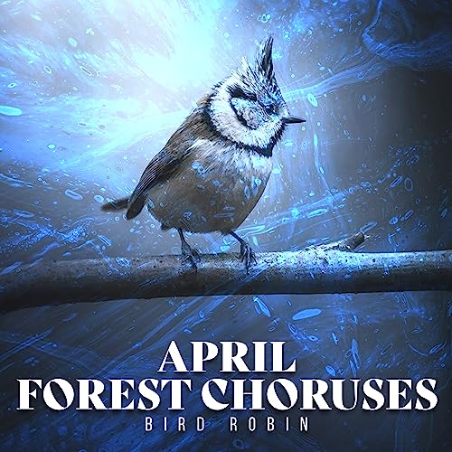 April Forest Collection April Forest Choruses by Bird Robin on Amazon Music - Amazon.co.uk