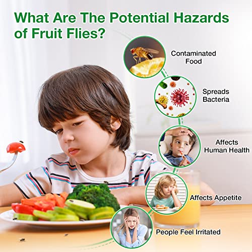 Fruit Fly Traps For Indoors With 12 Fruit Fly Sticky Traps, Easy To Use & Safe Food-Based Gnat Trap Reusable Indoor & Outdoor Fruit Fly Killer (2 Pack) #TOP1