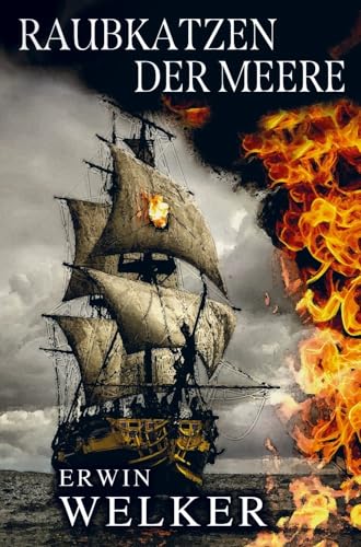 Raubkatzen der Meere - Captain James Walker und seine Piraten: Historischer Seefahrer-Roman