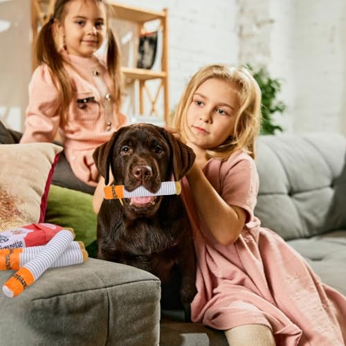 FORYNXHWIN Hundezigaretten Spielzeug, Quietschendes Hundespielzeug, Zigaretten Spielzeug Hund mit Hundespielzeug Zigarettenpackung, lustiges Zigaretten-förmiges Plüsch-Hunde-Selbstspielspielzeug