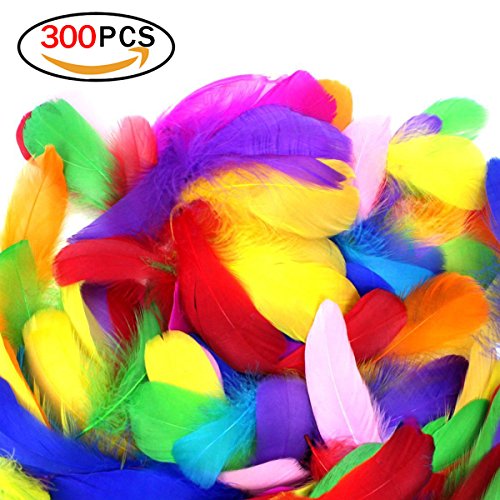 Rocita 300Pcs Diy Plumes Colorées Des Fournitures D'Artisanat L'Artisanat De Couture De Couleur