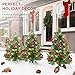 Best Choice Products Set of 2 24.5in Outdoor Pathway Christmas Trees, Battery Operated Pre-Lit Holiday Décor w/LED Lights, Red Berries, Pine Cones