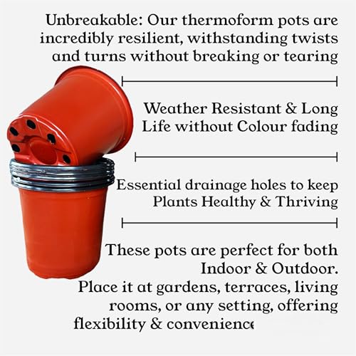Image of Thermoformed Plastic Flower Pots, Durable, Flexible, Unbreakable, Multiple Drainage Holes, Best for Indoor Plants, Terrace Garden, Nursery (Pack of 60, 5 Inch LH)