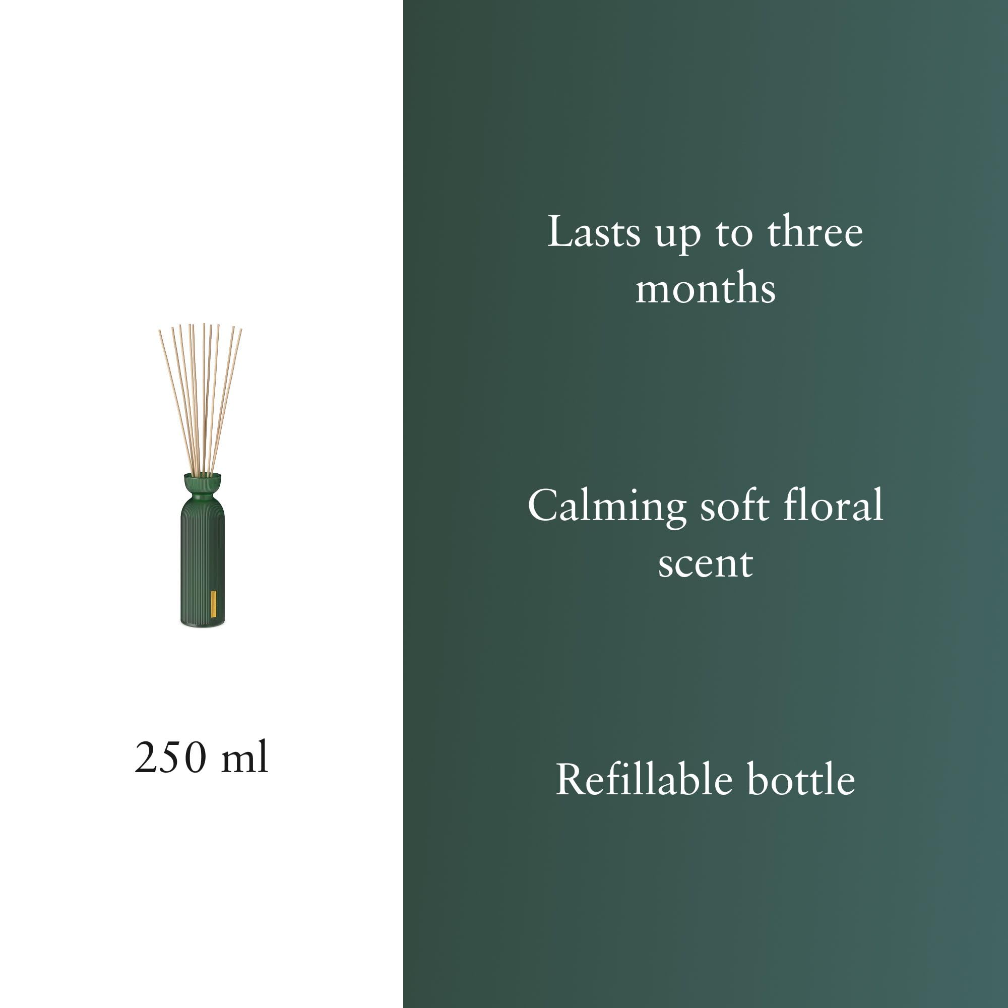 RITUALS The Ritual of Jing Diffuseur de parfum Fleur de lotus 250 ml | Parfum d'intérieur longue durée, bâtons de parfum, diffuseur de luxe, parfum continu