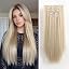Champagne Blonde Balayage