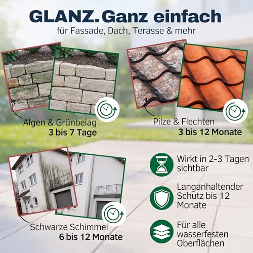 GreenX Pro Grünbelagentferner Konzentrat, selbsttätig gegen Grünbelag, Algen & Pilze ohne Schrubben – für Terrasse, Fassade, Dachziegel und Stein – chlor & säurefrei, 1000 ml (bis zu 100 m²)