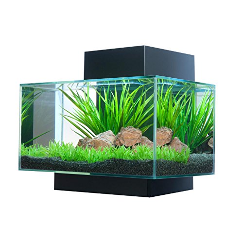 Fluval EDGE Aquarium Kit, Aquarium with LED Lighting and 3-Stage Filtration System, 6 Gallons, Black, 15385A1