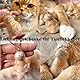 BrKern Schlüsselanhänger Für Tierhaare, 6 Stück Schlüsselanhänger Zum Befüllen, Tragbare Erinnerungsbox Für Katzenhaar, Emotionale Geschenkidee Für Tierliebhaber