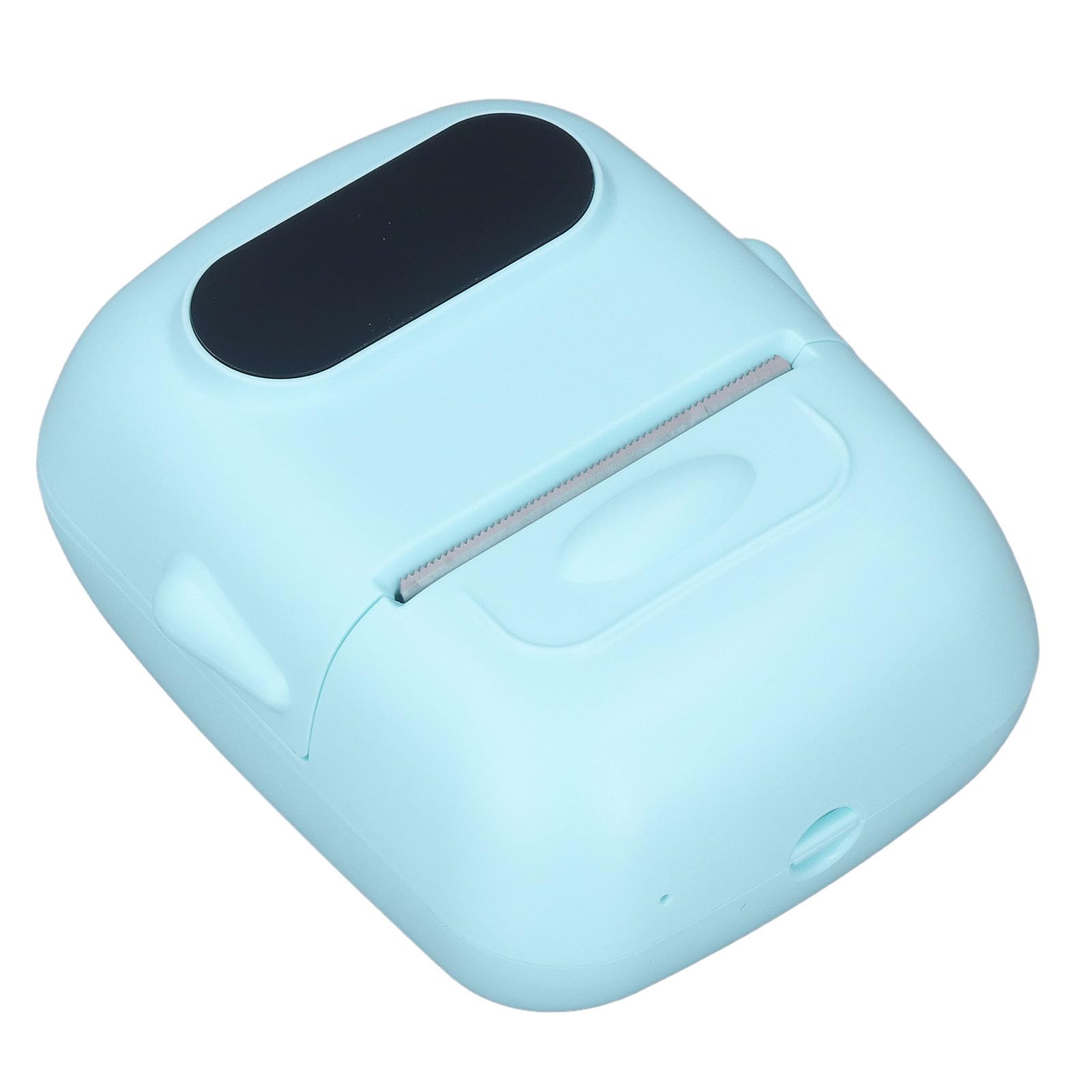 Stampante Termica per Etichette Bt Usb Maker Blu 203Dpi Etichettatrici Industriali