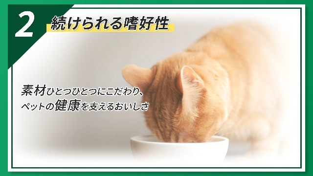 Amazon.co.jp: VetsWell(ベッツウェル) 猫用食事療法食 肥満ケア 2kg