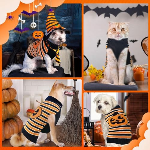 Pull d'Halloween pour chien et chat - Idéal pour la promenade du soir avec passage laisse
