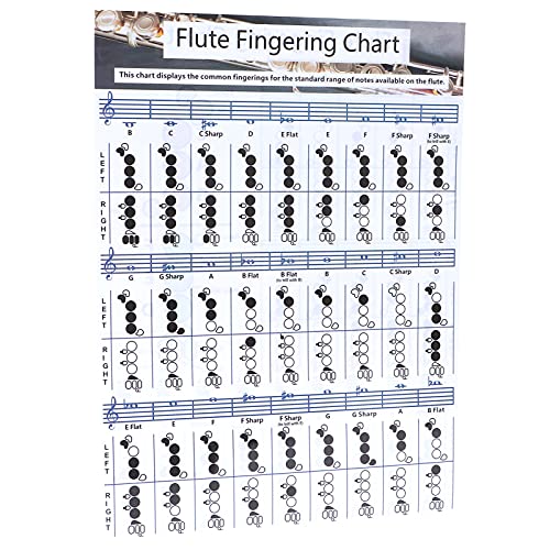 Generic Tabla de Acordes de Digitación de Flauta, Material Didáctico de Papel Revestido para Estudiantes de Flauta que Aprenden Digitación (Tabla de digitación de flauta para trompeta)