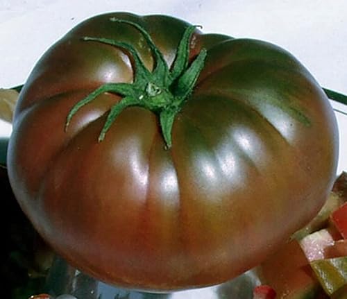 Semillas de tomate Black Krim - Tomate grande de Crimea de Ucrania - Uno de los tomates más deliciosos para el cultivo doméstico,