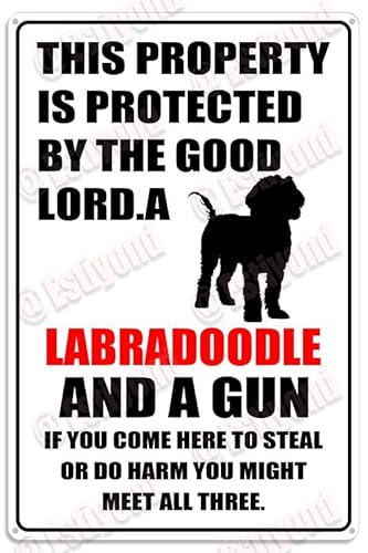 peiyeety Warning Sign, Sharks Have Been Spotted In The Pool Signs,Responsible For Injury Or Possible Death Aluminum Tin Outdoor Sign,Garage,Man Cave,Bedroom Wall Decor Gift 12X8 Inch, black-4