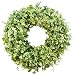 Year Round Boxwood and Eucalyptus Wreath for Front Door Decor; Summer Spring Artificial Greenery Decoration; Small - Extra Large Sizes; Indoor/Outdoor Use