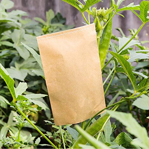 Josenidny 100 StüCk Kraft Seed Bag Zuchtbeutel Dient Zur Aufbewahrung Von Samen, Kleinteilen, MüNzen, Schmuck Usw. (Ca. 6 X 11 Cm) – Bild 4