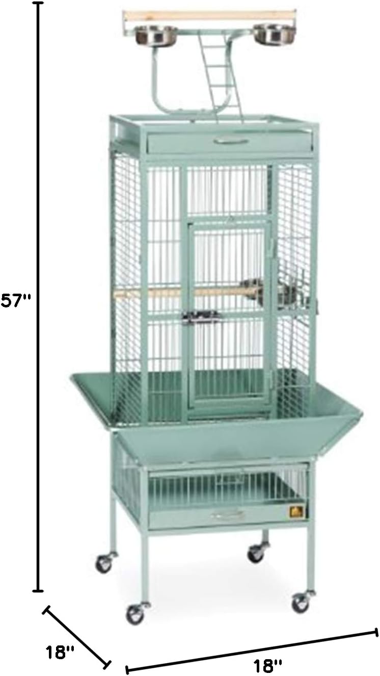 Prevue Pet Products Wrought Iron Select Bird Cage - Steel Cage with Rolling Stand and Seed Guards, Durable Design, Ideal for Cockatiels and Medium Birds - Sage Green