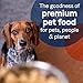 CANIDAE Grain Free Pure Adult Dog Wet Food Duck & Turkey Formula, 13 oz by CANIDAE