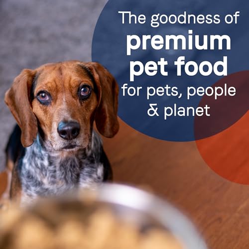 CANIDAE Grain Free Pure Adult Dog Wet Food Duck & Turkey Formula, 13 oz by CANIDAE