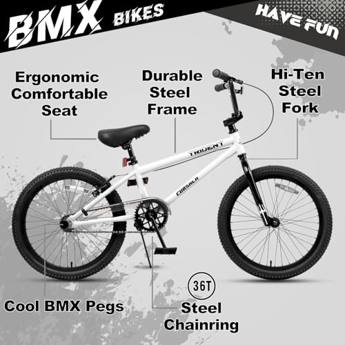 cubsala 20 Inch BMX Race Bike