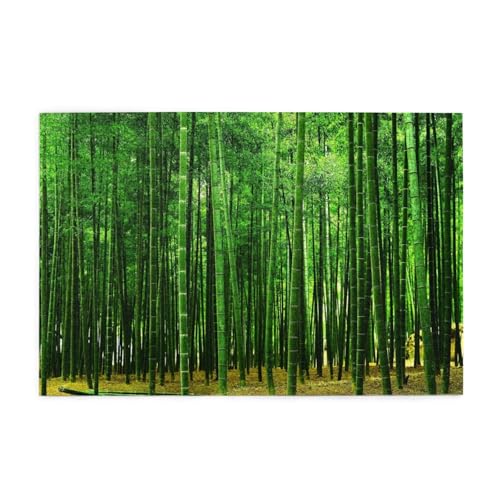 |уgC Ri ؐWO\[pYmߋ - 1000s[X ?? lqp TCY75×50cm NX}X/av[gɓK