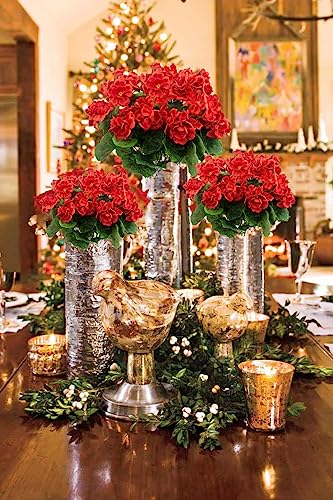Ferial 2 Pcs Artificial Red Geranium Bush Faux Flowers Geraniums Silk Flowers Outdoor Plant Bush Red Geraniums For Floral Home Decor Indoor Garden Patio Grave Cemetary Vase Table Centerpiece #TOP3