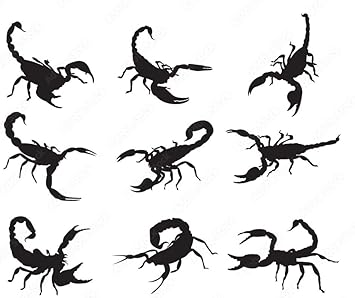 Scary Realistic Fake Scorpion Insects Prank Joke Toys Bugs Halloween Props Party Decorations, Pack of 12 pcs